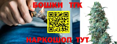 тгк Можга